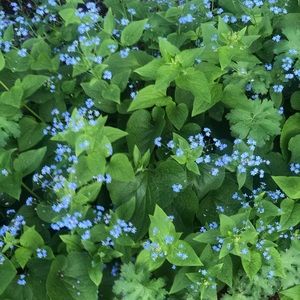 Meet your Posher, Kristina